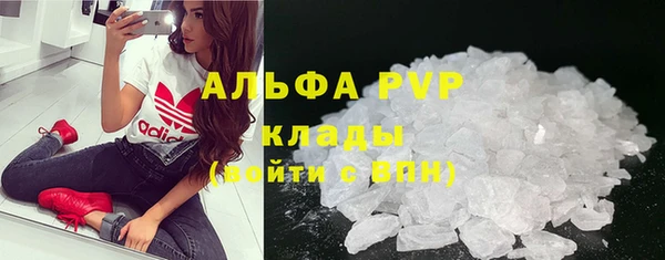 гидра Алексин