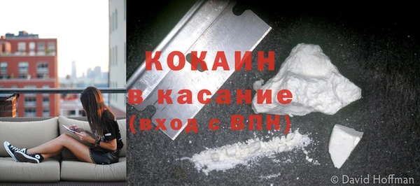дживик Алзамай
