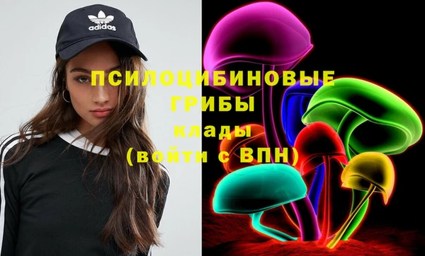 твердый Алексеевка