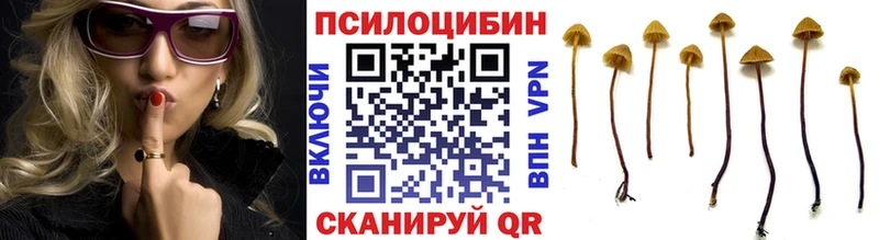 магазин продажи наркотиков  Суджа  Галлюциногенные грибы мухоморы 