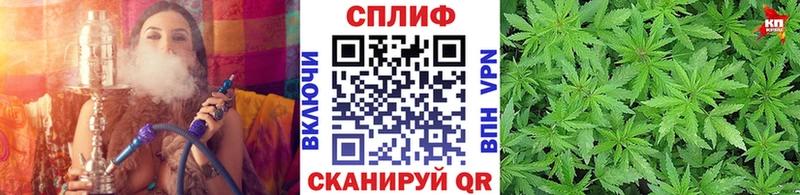 Шишки марихуана Ganja блэк спрут ссылки Суджа